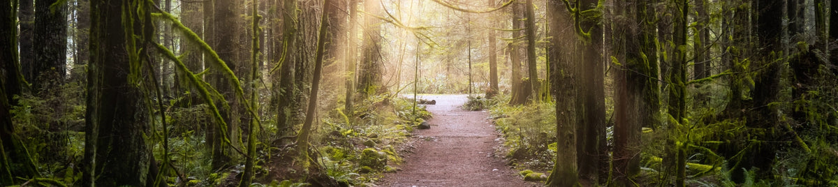 Näak Blog | BC Parks Foundation