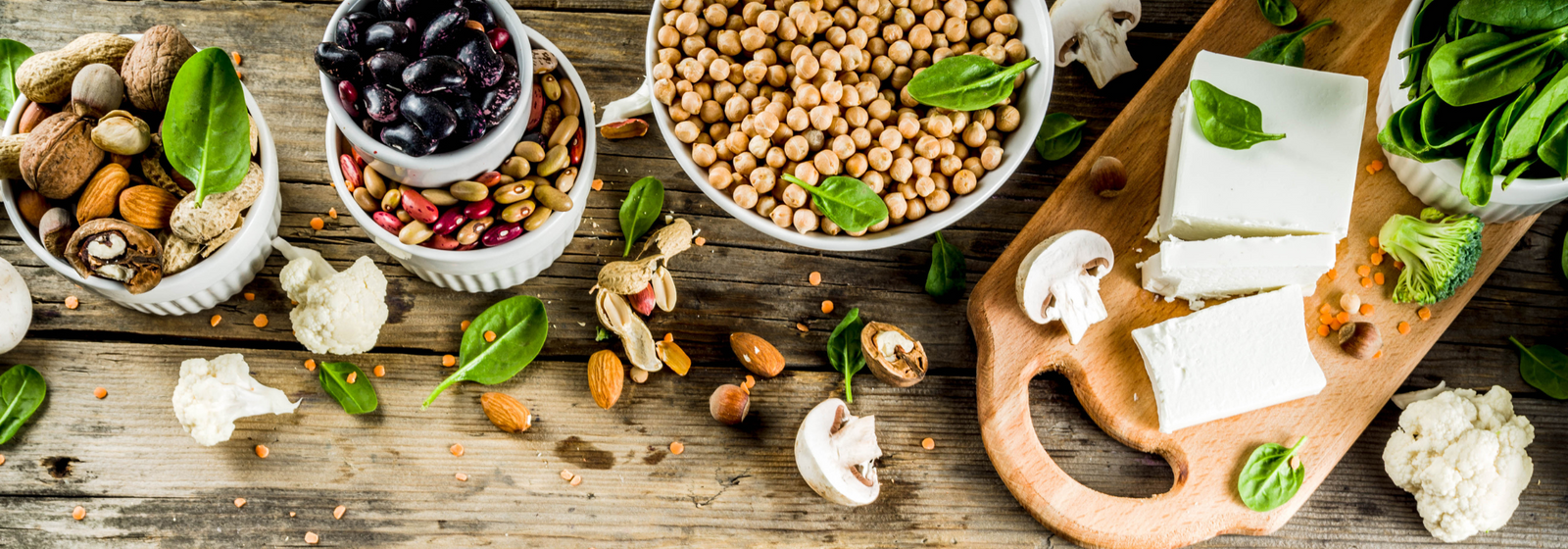 The importance of proteins for Ultra-athletes