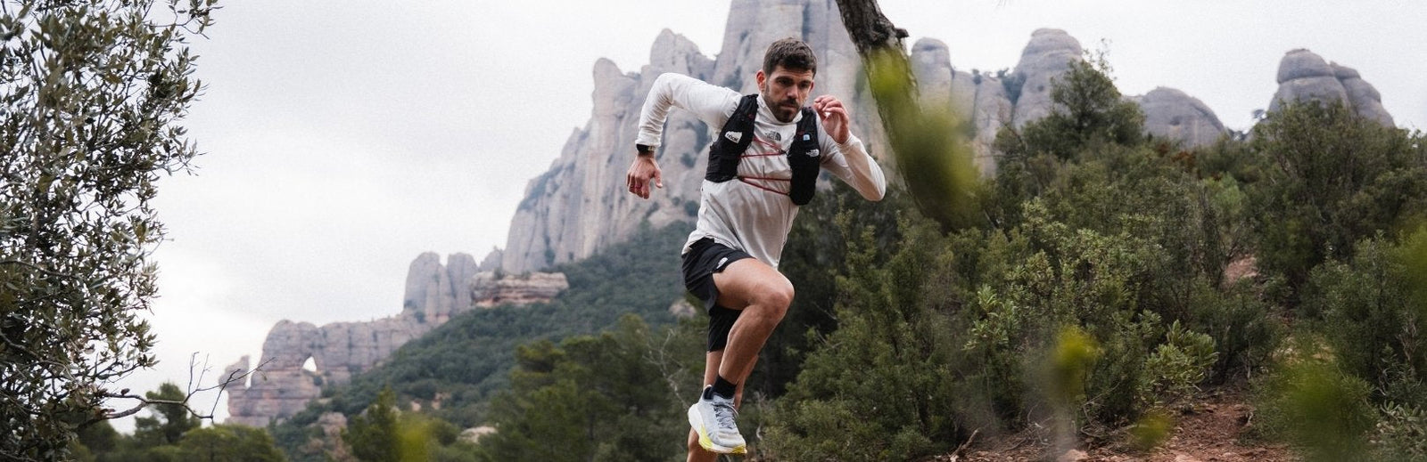 Pau Capell's favourites